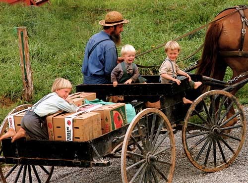 Amish boys 33.jpg