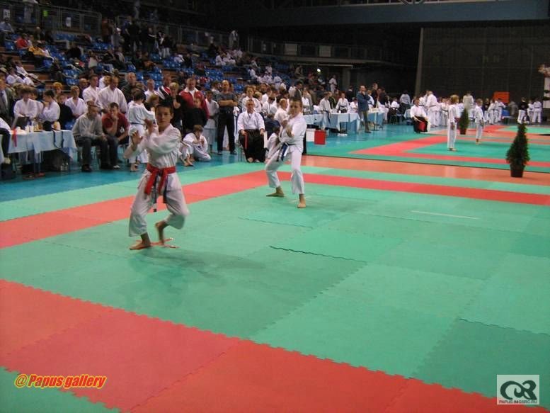 Karate 46.jpg