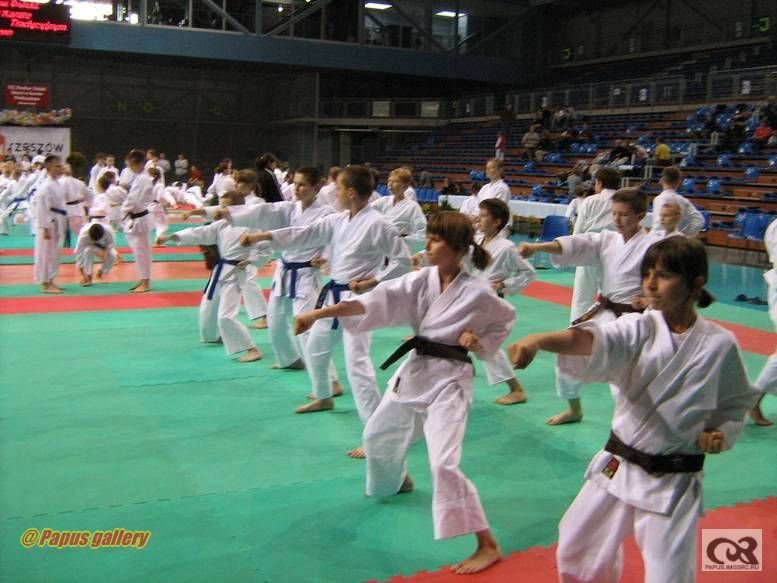 Karate 65.jpg