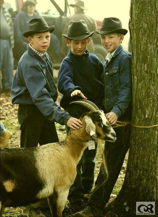 Amish boys 02.jpg