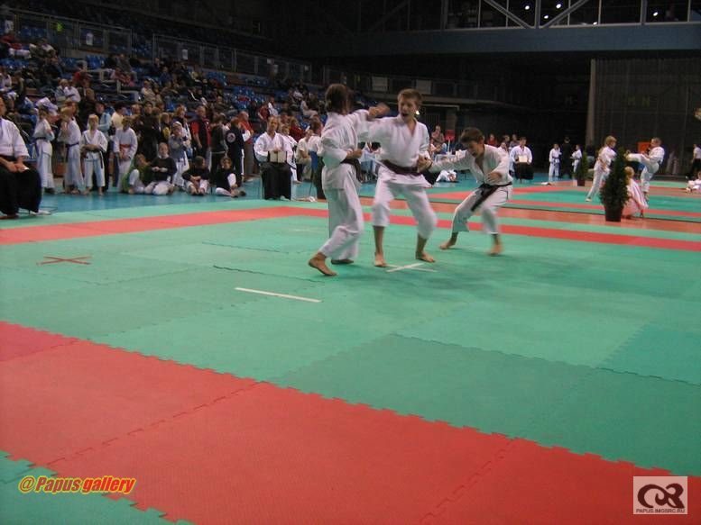 Karate 28.jpg