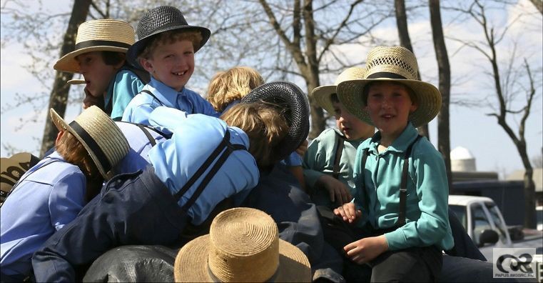 Amish boys 23.jpg