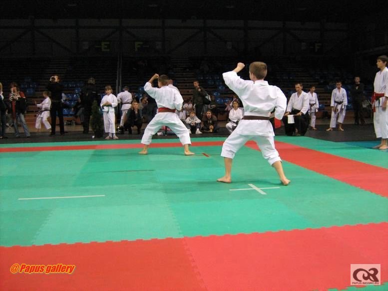 Karate 11.jpg