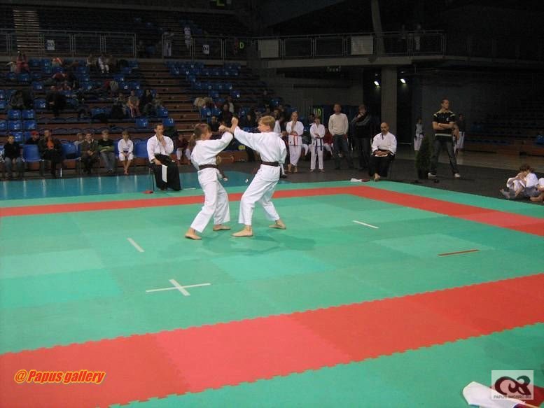 Karate 21.jpg