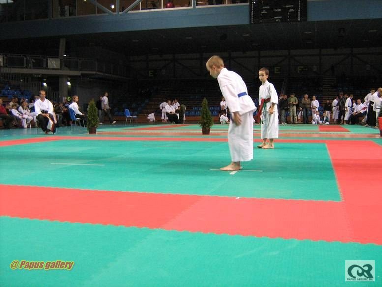 Karate 23.jpg