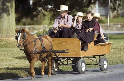 Amish boys 32.jpg
