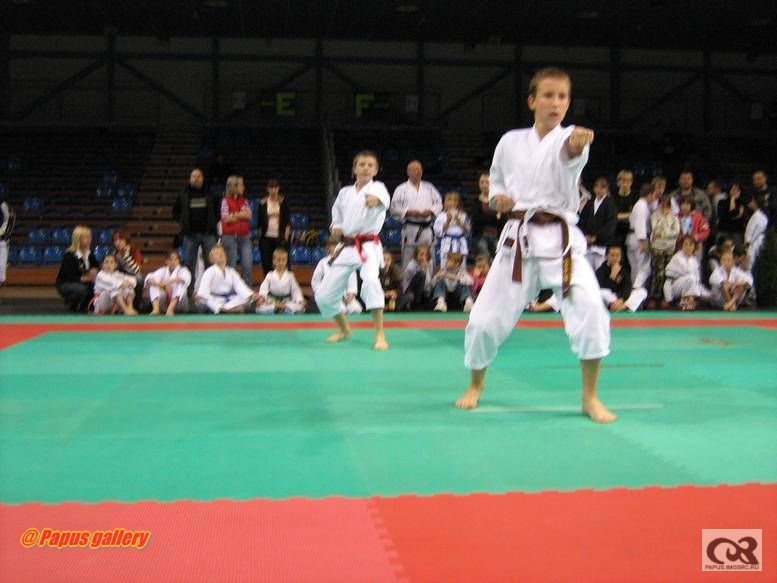 Karate 15.jpg