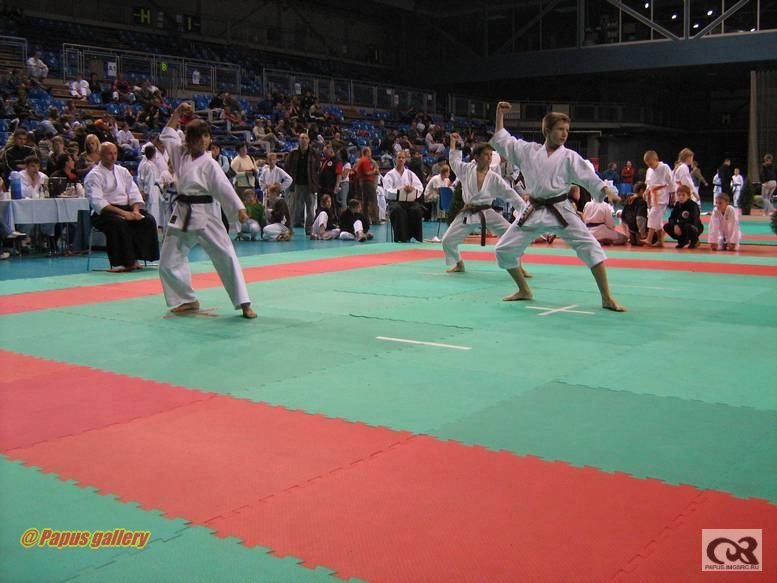 Karate 53.jpg