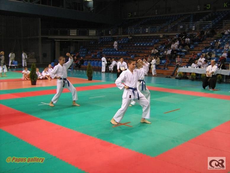 Karate 35.jpg