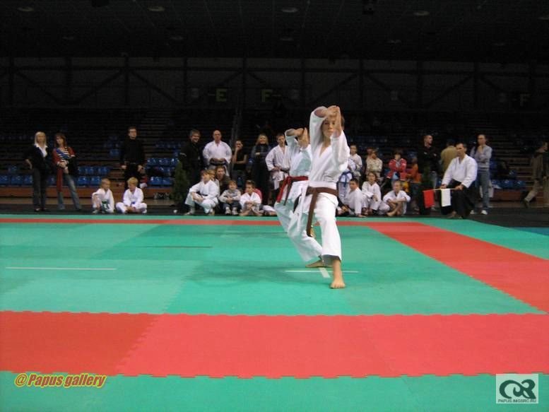 Karate 07.jpg
