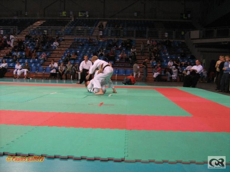 Karate 17.jpg