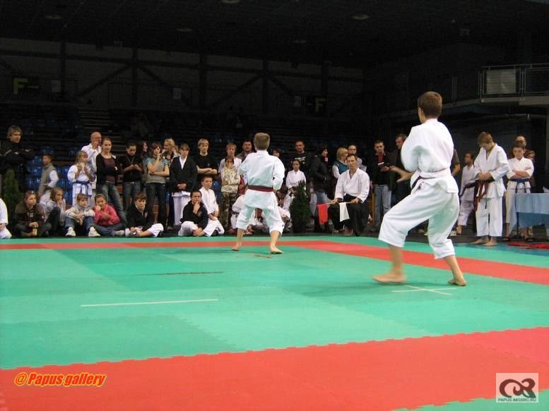 Karate 36.jpg