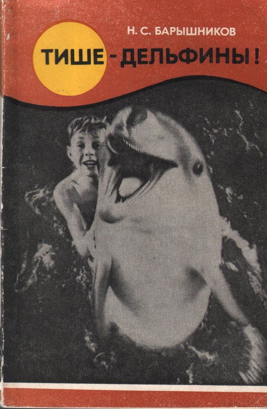 Мальчик и дельфин.jpg