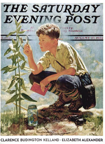 Iverd---Boy-Botanist.jpg