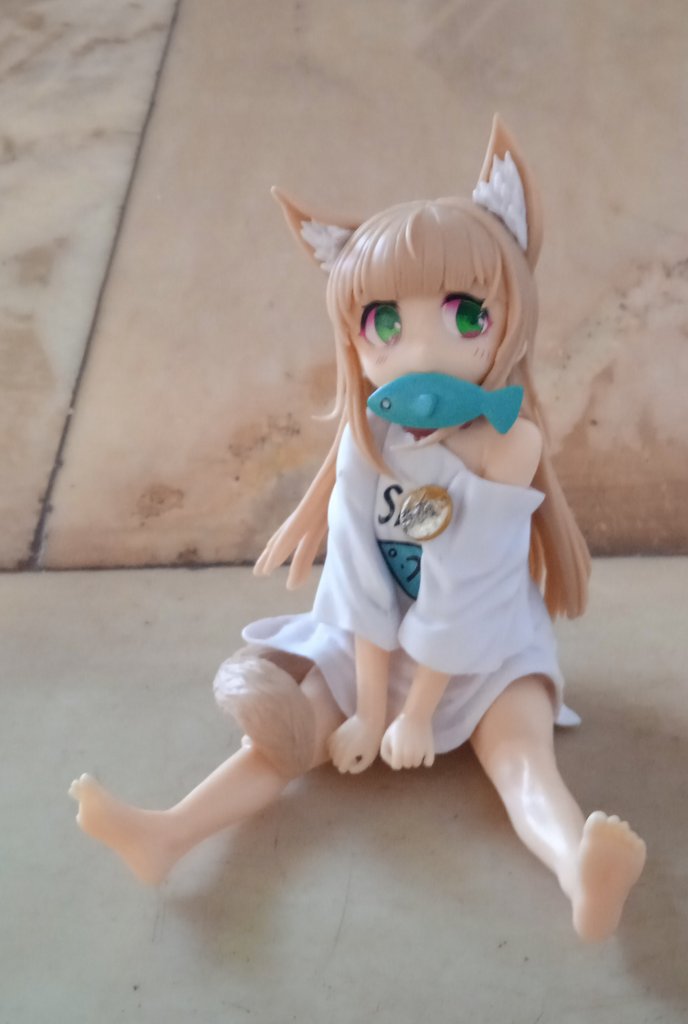 88557889BJF.jpg